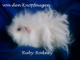 Ruby Rodney1.JPG